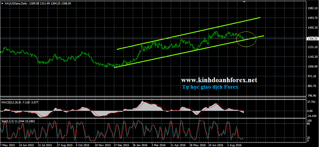 kinh doanh forex - kien thuc giao dich forex can ban - giao dich ngoai hoi